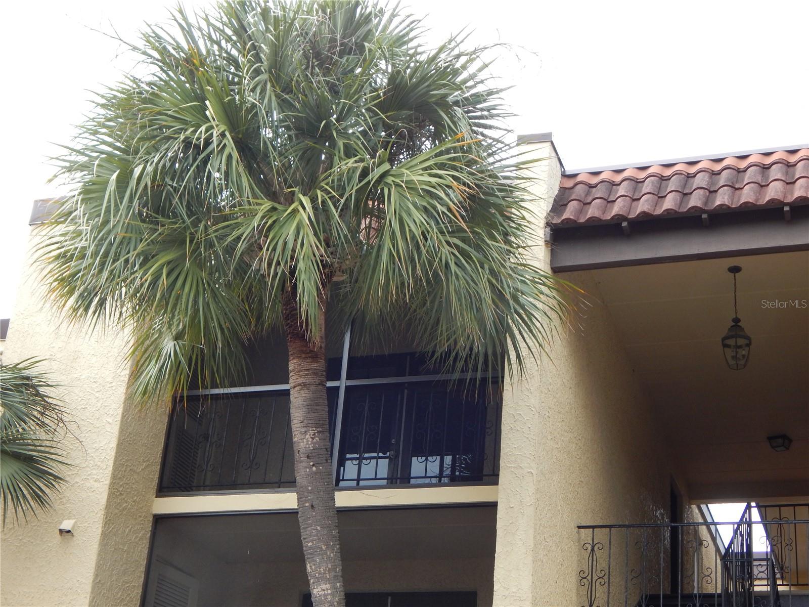 5306 SANTA ROSA COURT 342