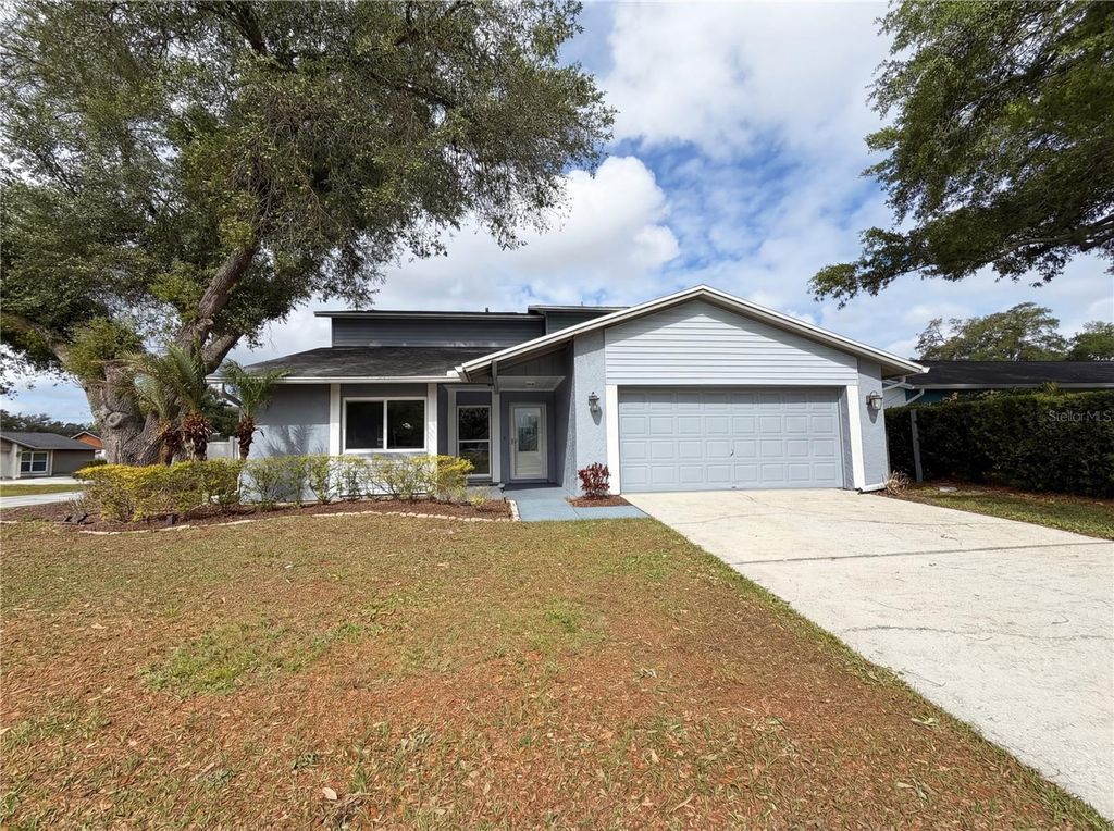 Photo of 3014 Rosebud Lane, Brandon, FL 33511 (MLS # O6399281)