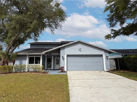 Photo of 3014 Rosebud Lane, Brandon, FL 33511 (MLS # O6399281)