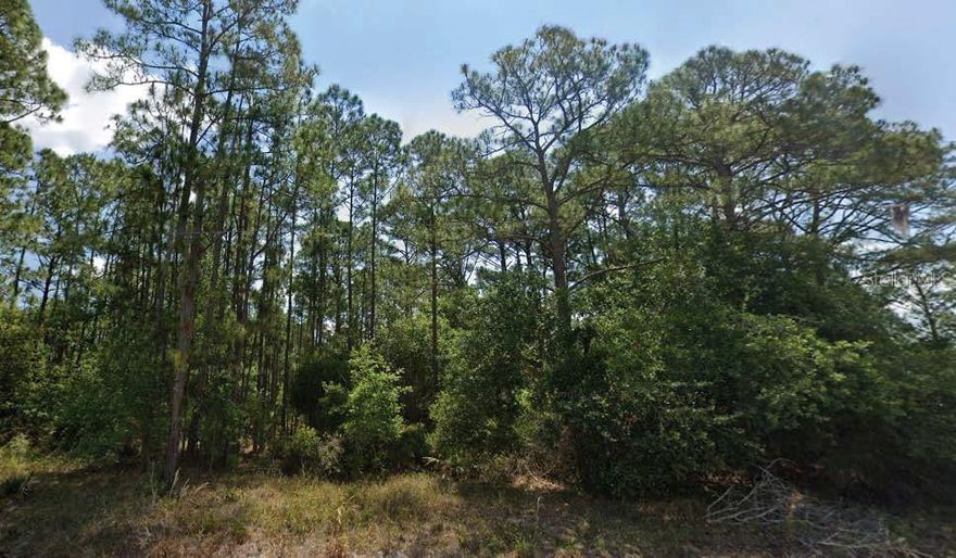 Build your future on Dian Avenue! This 10,000 sq ft lot offers a quiet residential setting with convenient access to schools, shopping, medical facilities, and Lake Jackson. The neighboring lot at 6034 Dian Ave is also available from the same owner. Purchase individually for $9,500 each, or buy both together for $18,000 and enjoy extra space or investment potential. A great opportunity to secure affordable land in Sebring. All information is deemed reliable but should be independently verified.