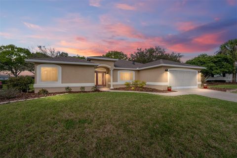 9037 SE 136TH LOOP SUMMERFIELD FL 34491