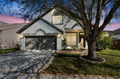 8816 CYPRESS HAMMOCK DRIVE TAMPA FL 33614