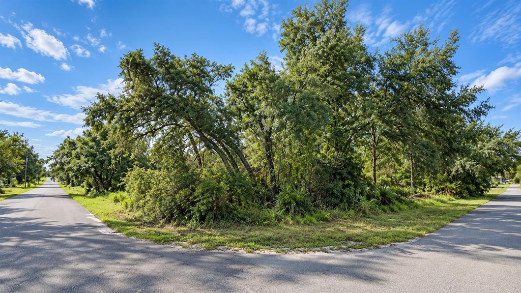 Photo of 12194 Labrador Duck Road, Weeki Wachee, FL 34614 (MLS # K4903815)