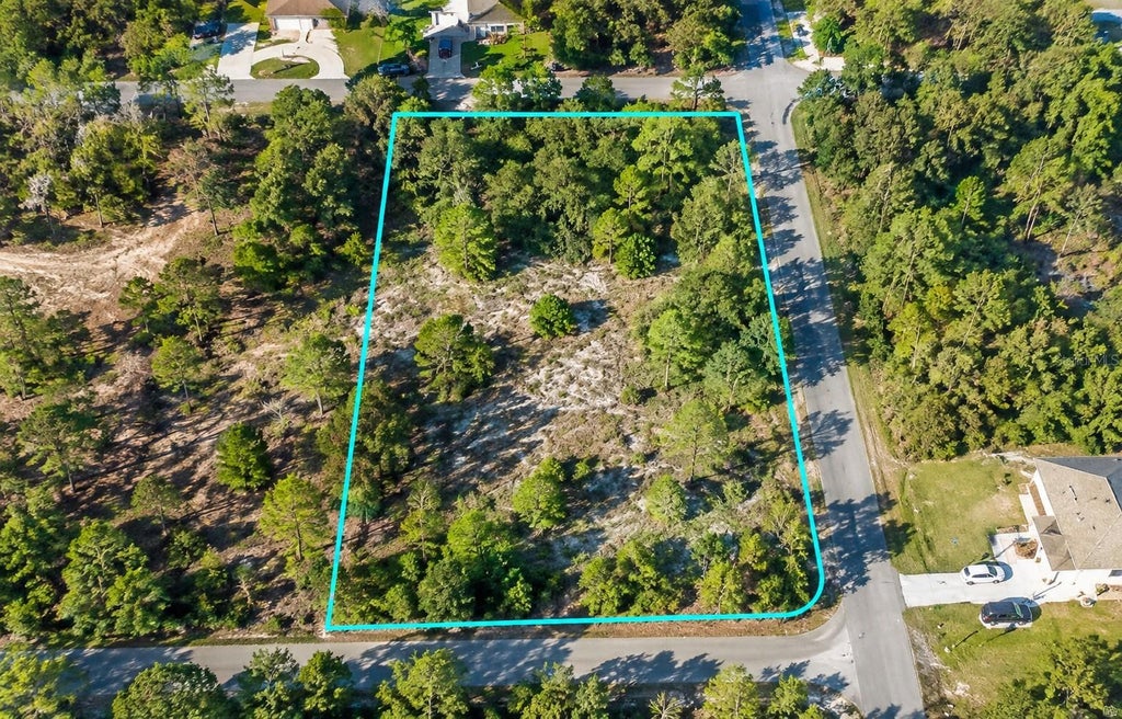 Photo of 12194 Labrador Duck Road, Weeki Wachee, FL 34614 (MLS # K4903815)