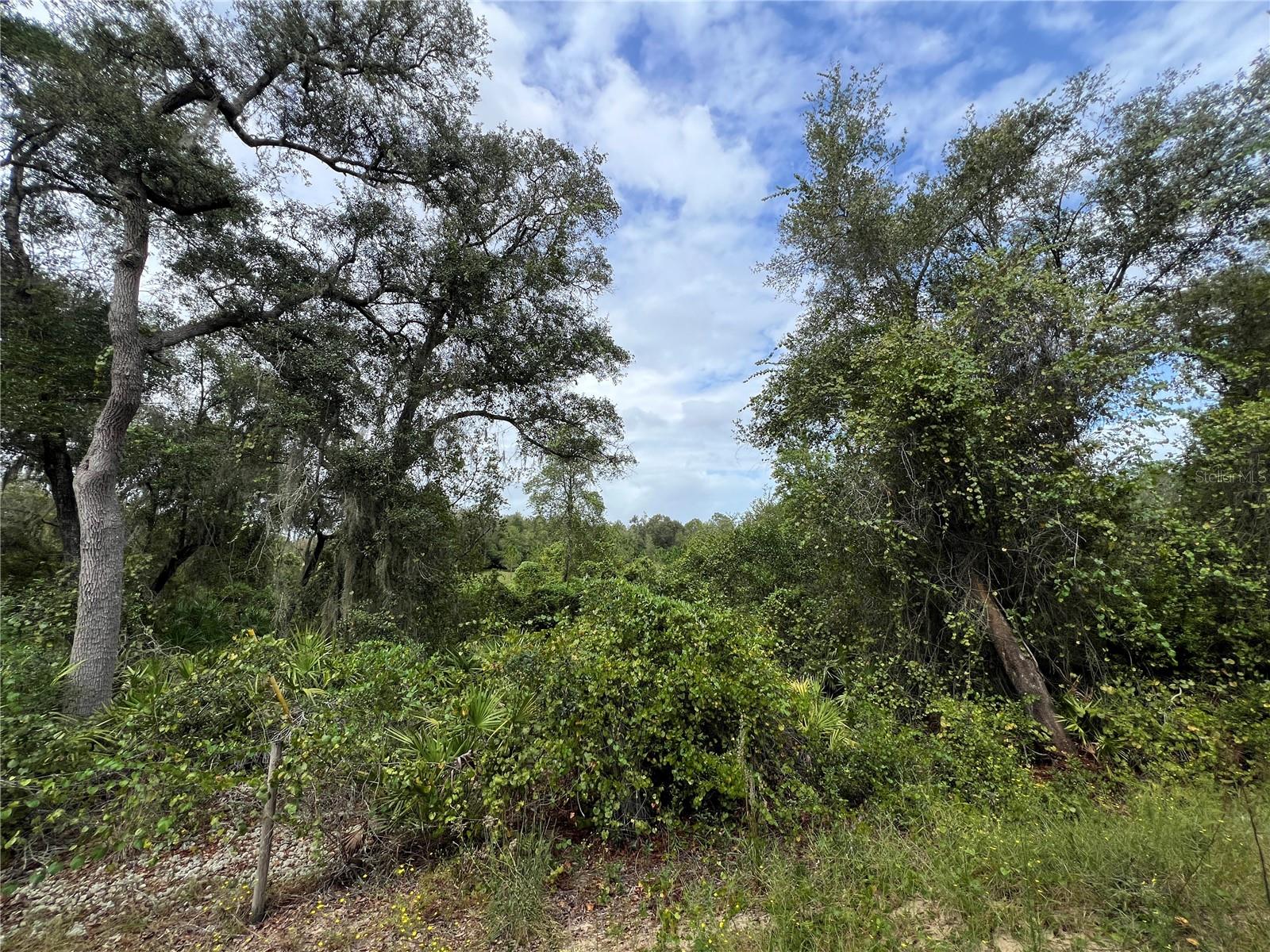 LAKE EVERETT ESTATES - Land