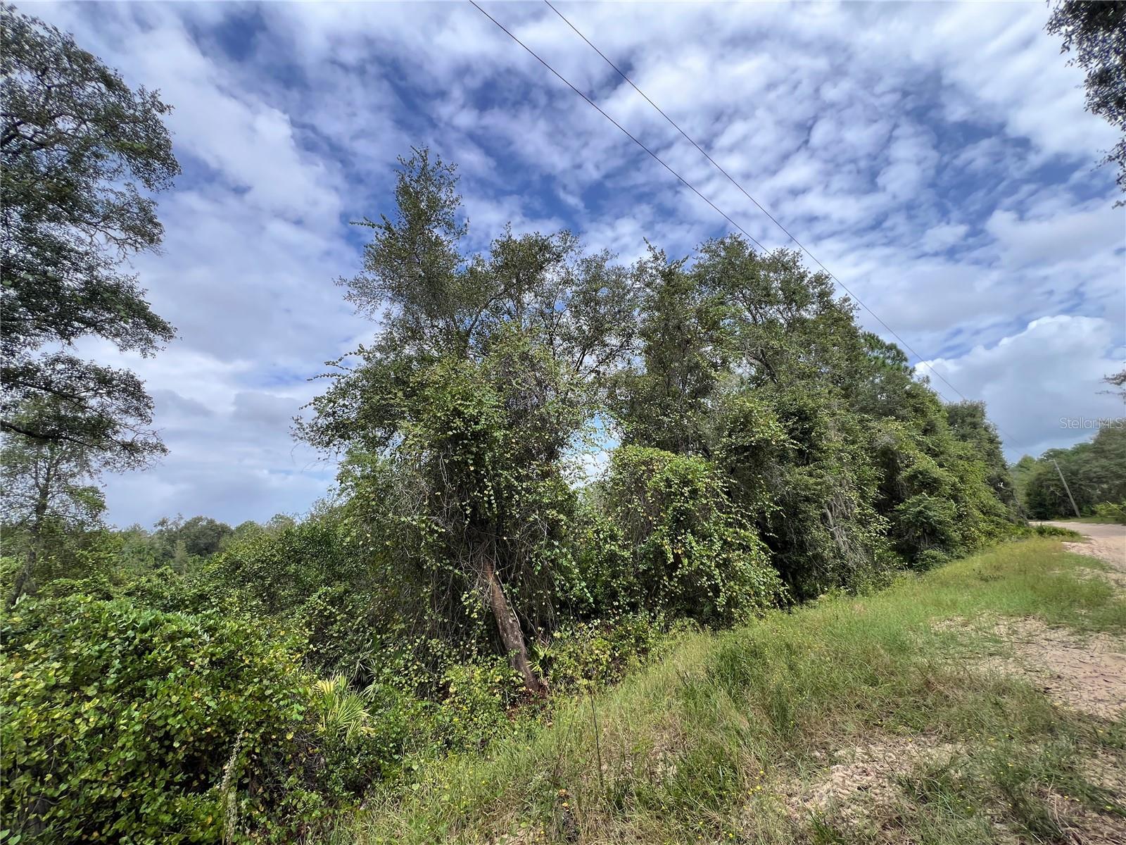 LAKE EVERETT ESTATES - Land