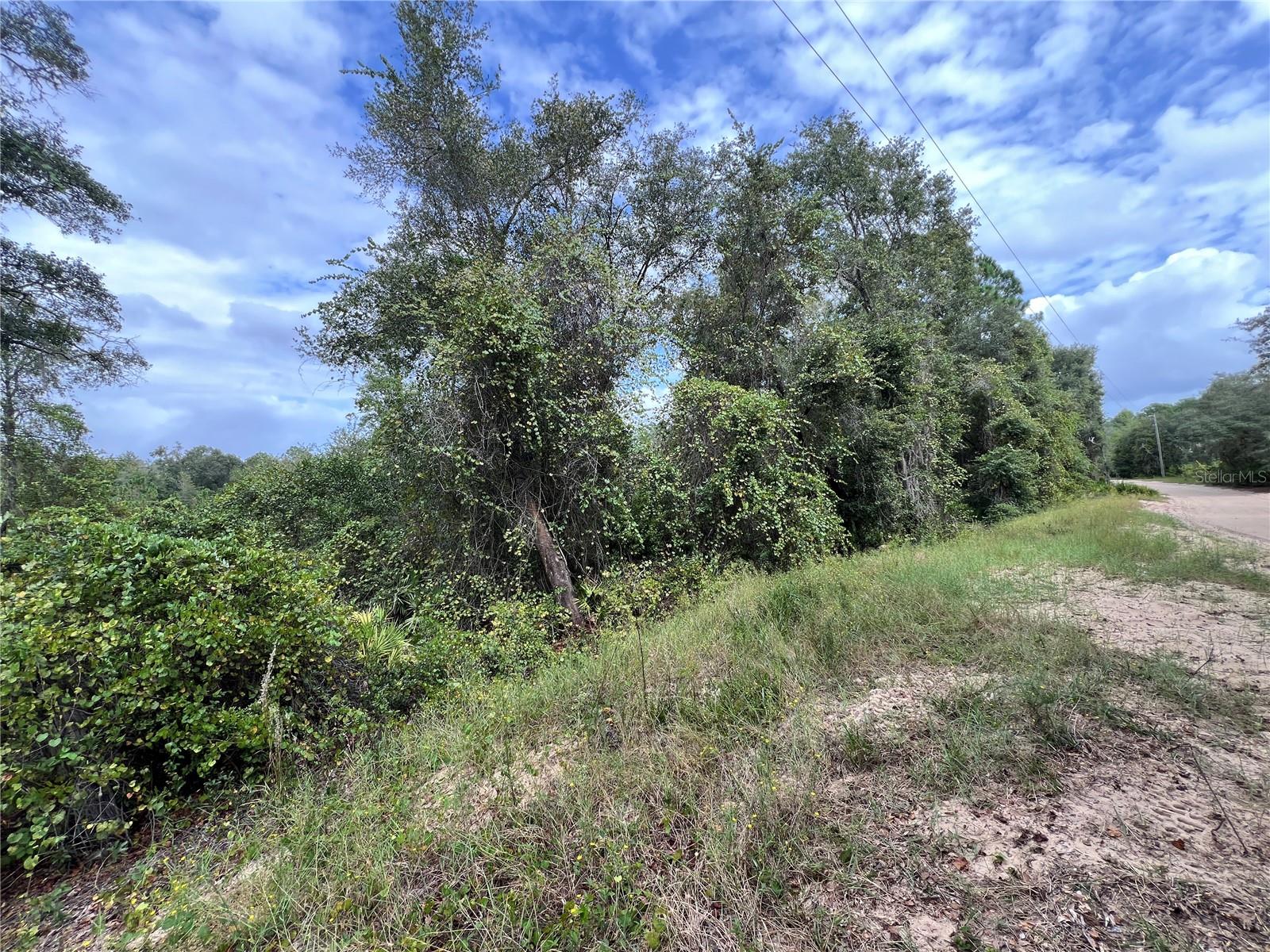 LAKE EVERETT ESTATES - Land