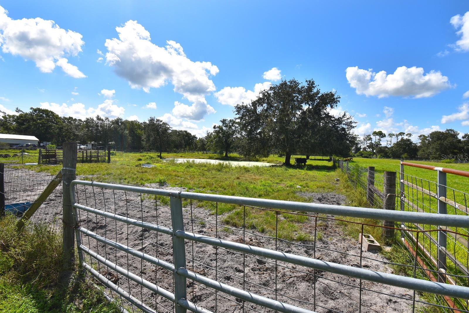 ACREAGE - Residential