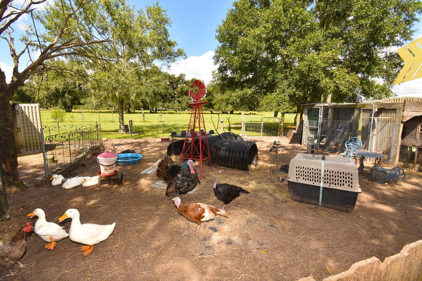 ACREAGE - Residential