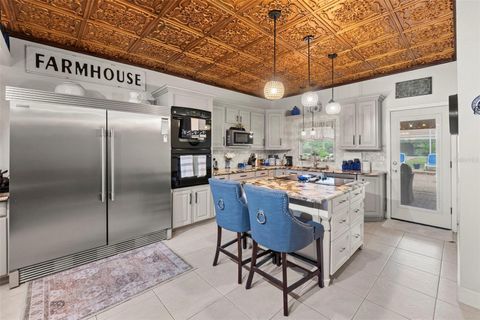 Tiny photo for 32137 Wolf Branch Lane, Sorrento, FL 32776 (MLS # O6328820)