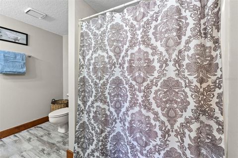 Tiny photo for 32137 Wolf Branch Lane, Sorrento, FL 32776 (MLS # O6328820)