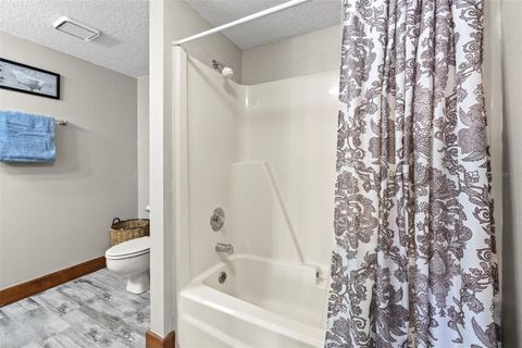 Tiny photo for 32137 Wolf Branch Lane, Sorrento, FL 32776 (MLS # O6328820)