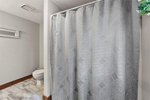 Tiny photo for 32137 Wolf Branch Lane, Sorrento, FL 32776 (MLS # O6328820)