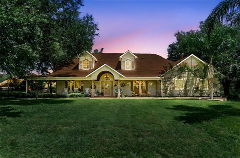 Tiny photo for 32137 Wolf Branch Lane, Sorrento, FL 32776 (MLS # O6328820)