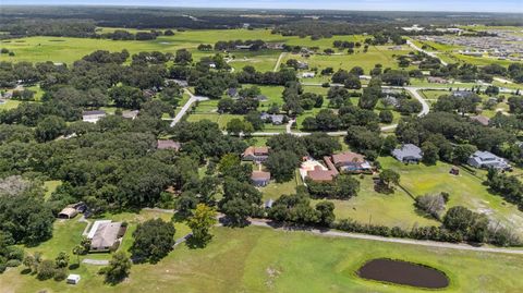 Tiny photo for 32137 Wolf Branch Lane, Sorrento, FL 32776 (MLS # O6328820)