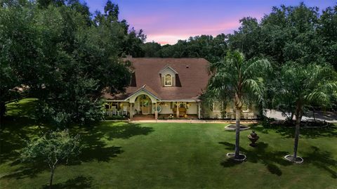 Tiny photo for 32137 Wolf Branch Lane, Sorrento, FL 32776 (MLS # O6328820)