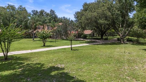 Tiny photo for 32137 Wolf Branch Lane, Sorrento, FL 32776 (MLS # O6328820)