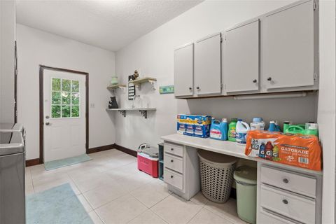 Tiny photo for 32137 Wolf Branch Lane, Sorrento, FL 32776 (MLS # O6328820)