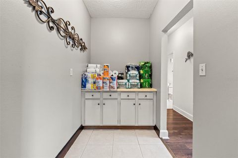 Tiny photo for 32137 Wolf Branch Lane, Sorrento, FL 32776 (MLS # O6328820)