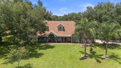 Tiny photo for 32137 Wolf Branch Lane, Sorrento, FL 32776 (MLS # O6328820)