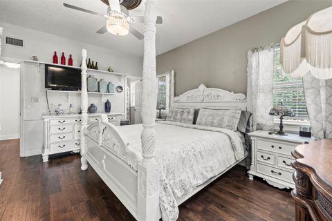 Tiny photo for 32137 Wolf Branch Lane, Sorrento, FL 32776 (MLS # O6328820)