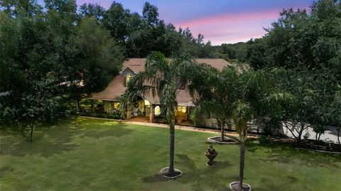 Tiny photo for 32137 Wolf Branch Lane, Sorrento, FL 32776 (MLS # O6328820)