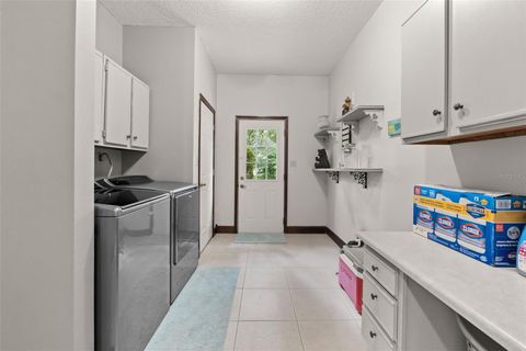 Tiny photo for 32137 Wolf Branch Lane, Sorrento, FL 32776 (MLS # O6328820)