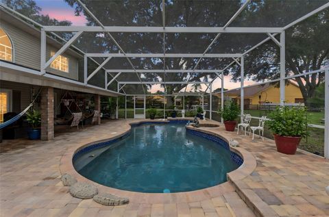 Tiny photo for 32137 Wolf Branch Lane, Sorrento, FL 32776 (MLS # O6328820)