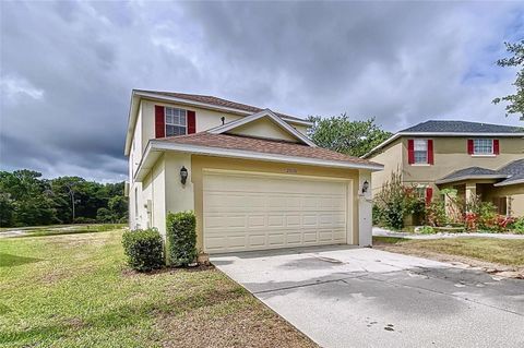 A home in TAMPA