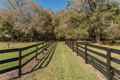 Tiny photo for 1631 NE 165th Street, Citra, FL 32113 (MLS # OM734808)