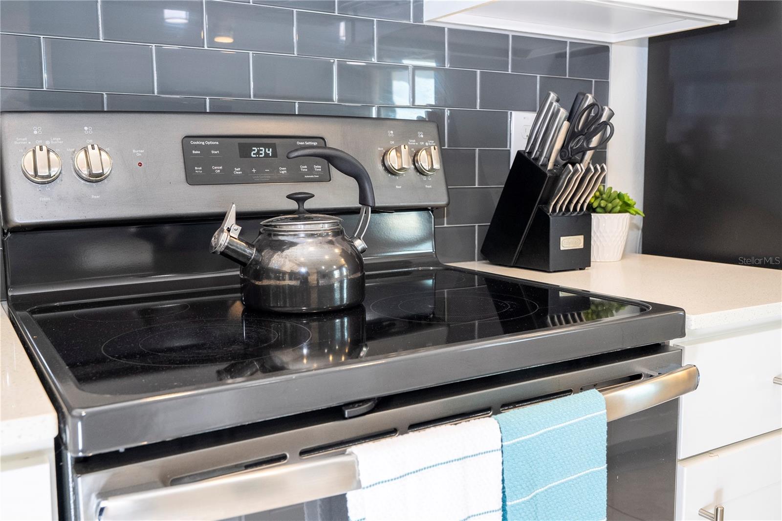 THE TERRACES AT STOREY LAKE CONDO 1 PH 2 - Residential