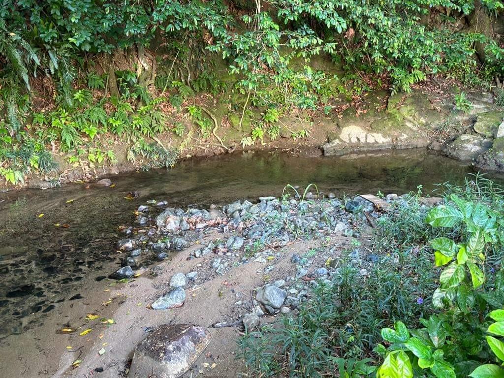 RIO CANAS WARD - Residential