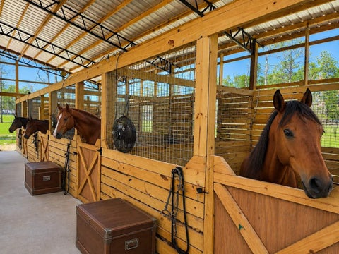 Tiny photo for 11670 SE 55th Lane, Morriston, FL 32668 (MLS # OM734519)