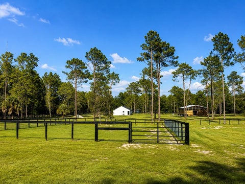 Tiny photo for 11670 SE 55th Lane, Morriston, FL 32668 (MLS # OM734519)