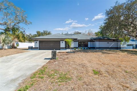 Photo of 3144 Abeline Road, Spring Hill, FL 34608 (MLS # TB8476235)