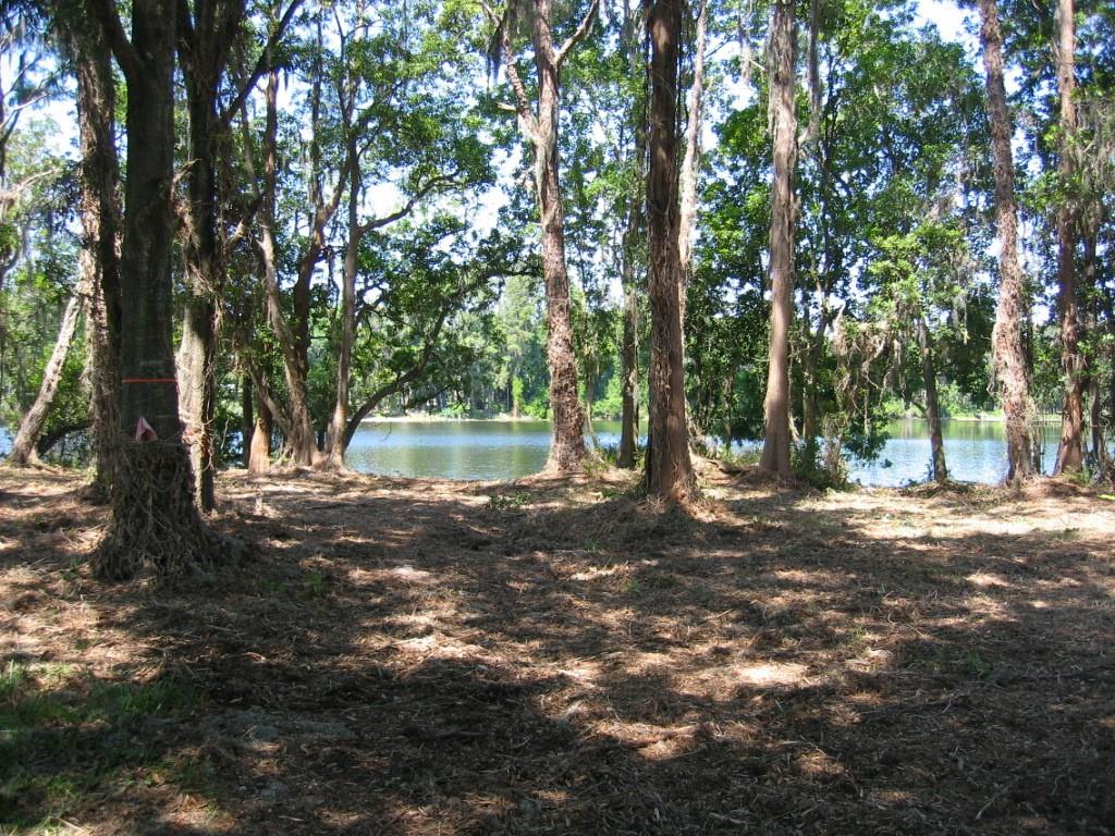 KEYSTONE PARK COLONY LAND CO - Land