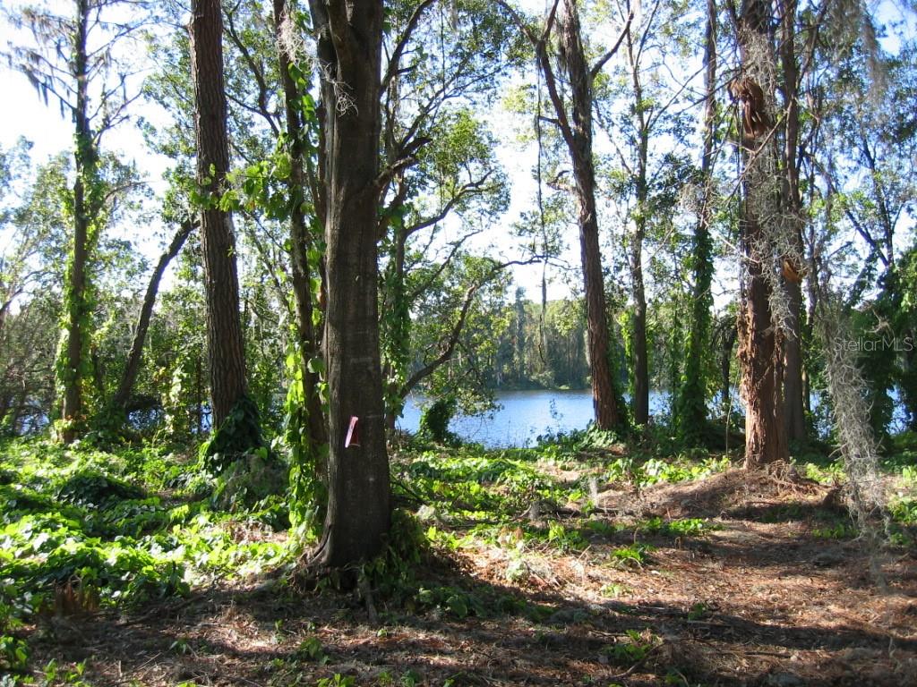 KEYSTONE PARK COLONY LAND CO - Land
