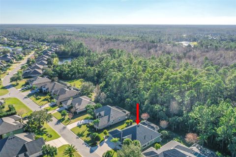 A home in ORMOND BEACH