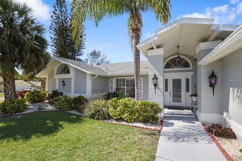 13528 WOODSIDE DRIVE HUDSON FL 34667