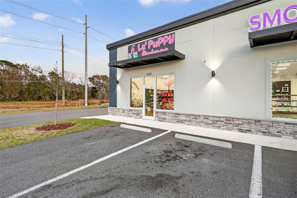 Photo of 11000 Us-17 N, Eagle Lake, FL 33839 (MLS # S5144473)