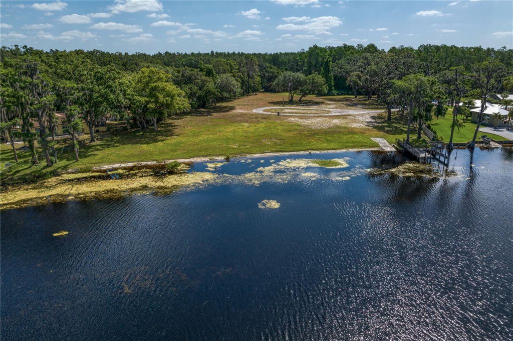 Photo of 215 Lake Brant Drive, Lutz, FL 33548 (MLS # TB8381613)