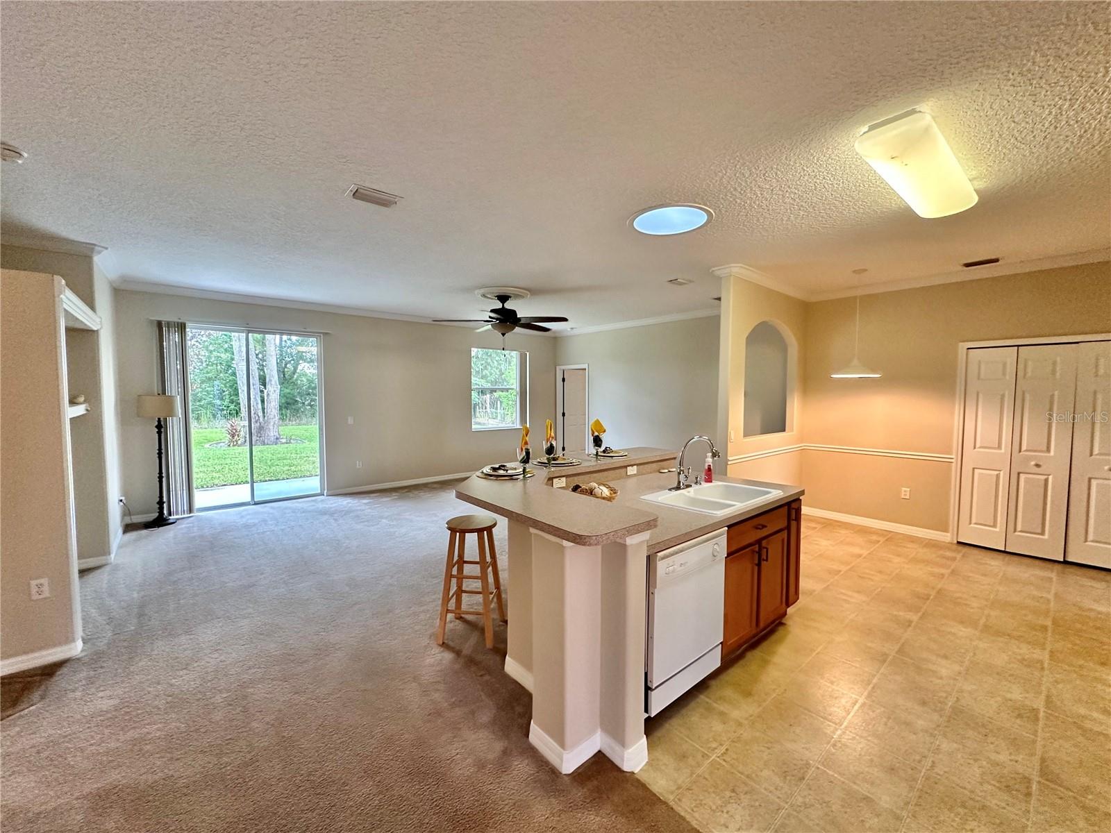 PALM COAST SEC 24 - Residential