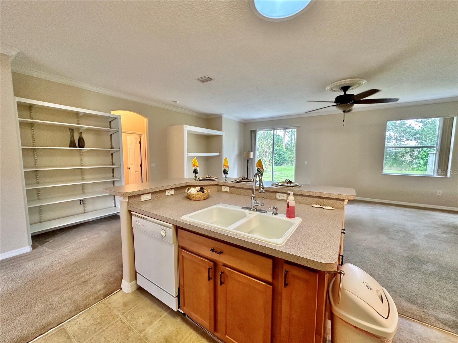 PALM COAST SEC 24 - Residential