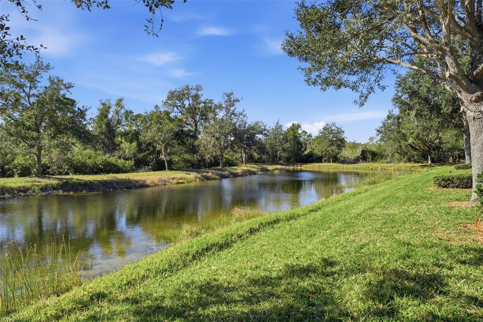 PENNINGTON PLACE - Residential
