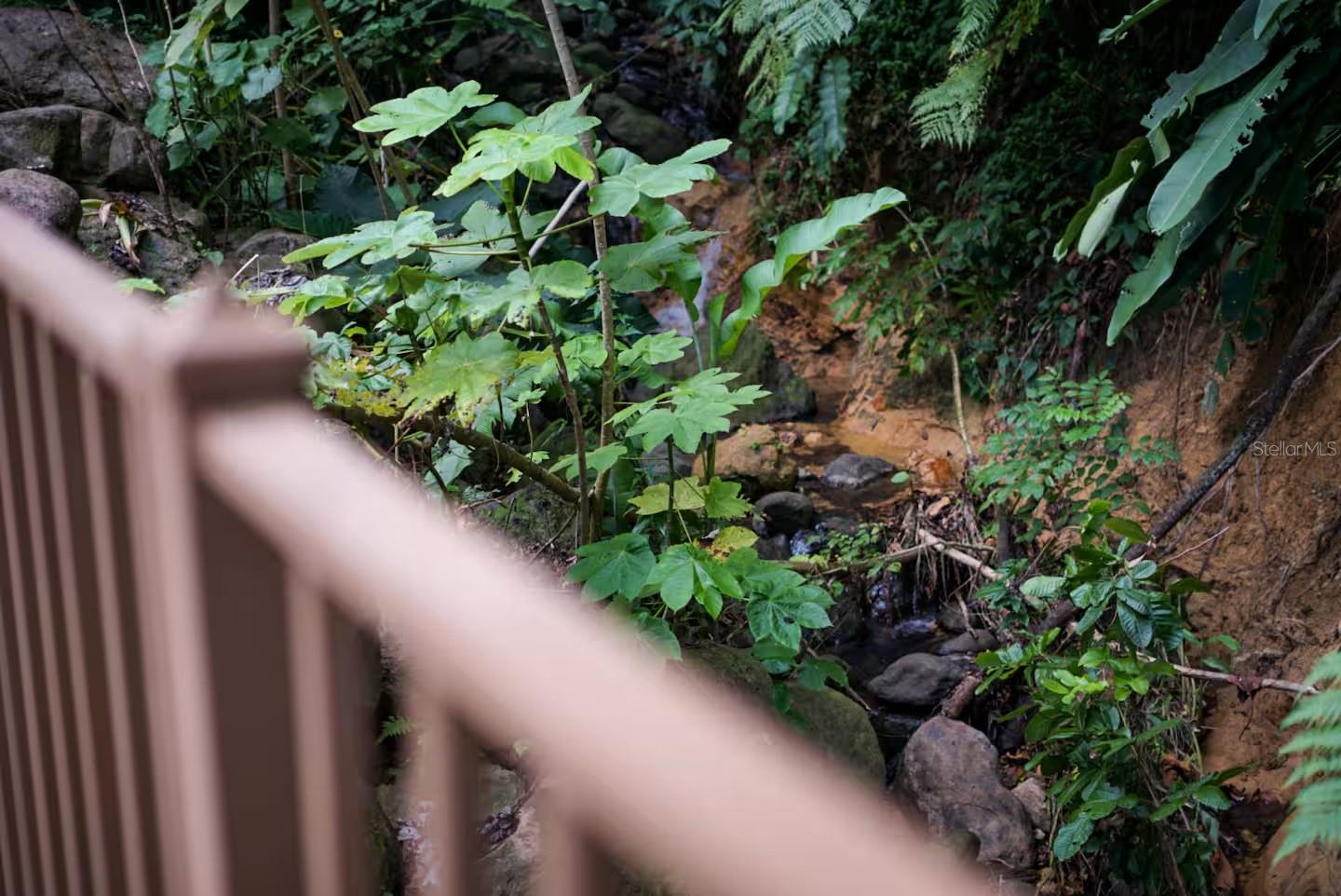 COLINAS DEL YUNQUE 19I - Residential