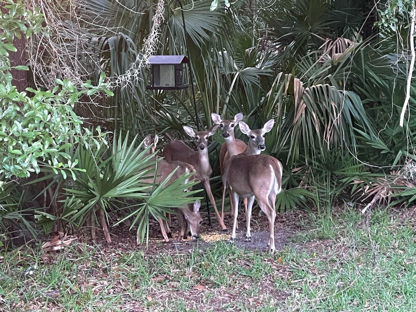 LEXINGTON OAKS VILLAGE 25 26 - Residential