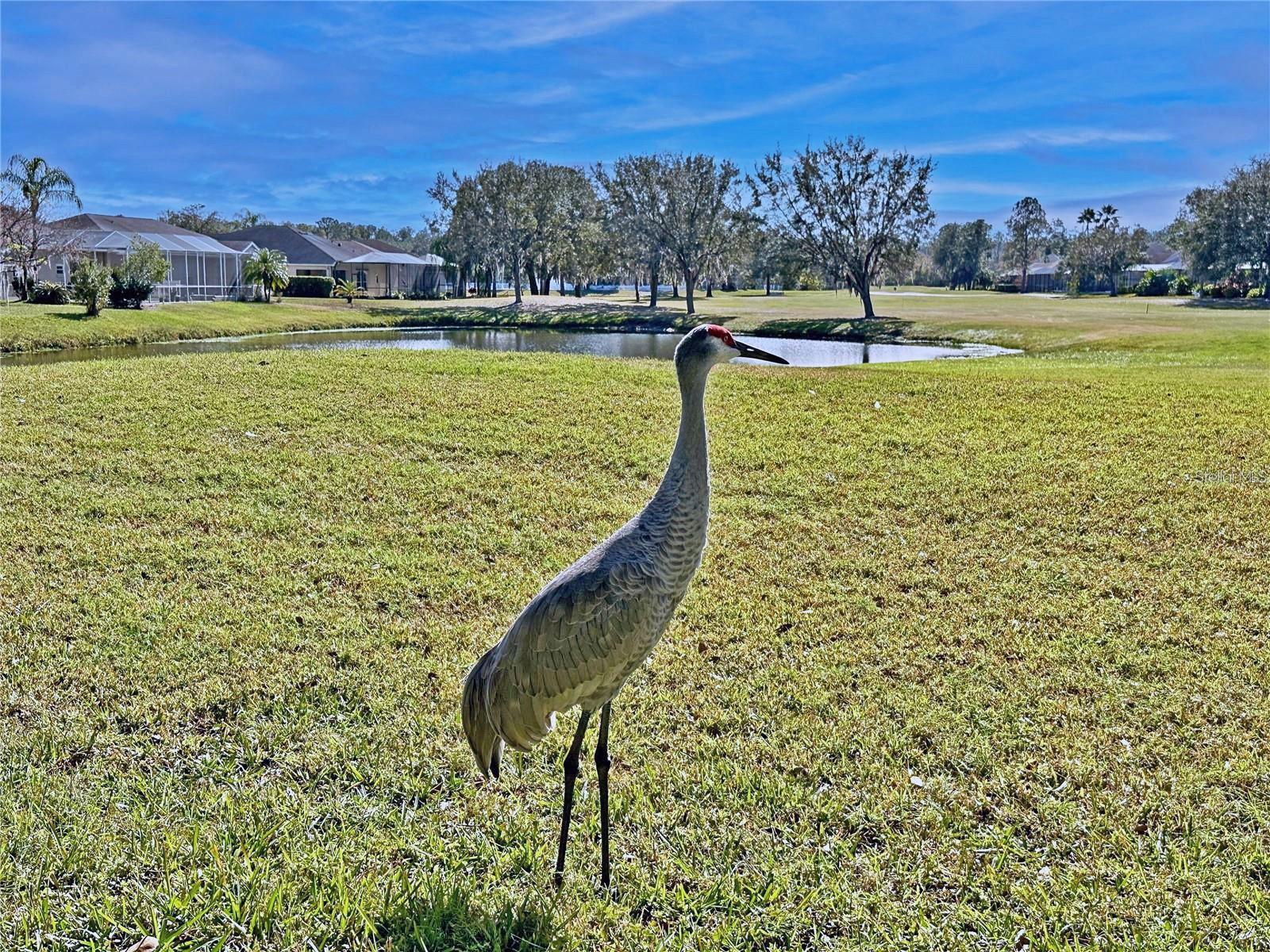 LEXINGTON OAKS VILLAGE 25 26 - Residential