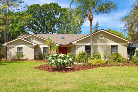 Photo of 19814 Deer Hollow Lane, Lutz, FL 33548 (MLS # TB8497685)