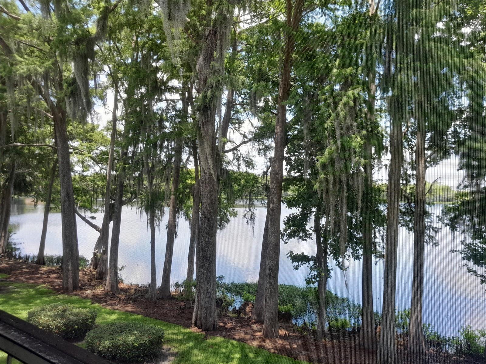 NORTHLAKE VILLAGE CONDO 8 - Residential