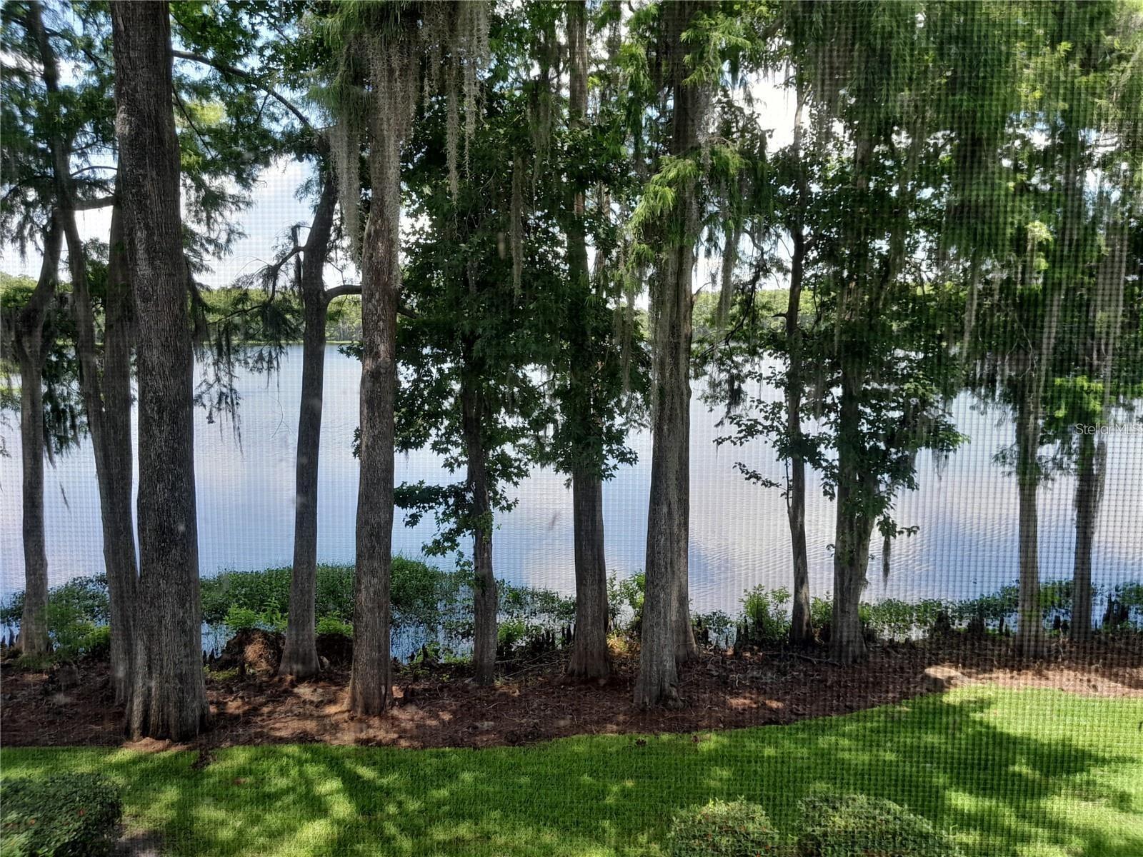 NORTHLAKE VILLAGE CONDO 8 - Residential